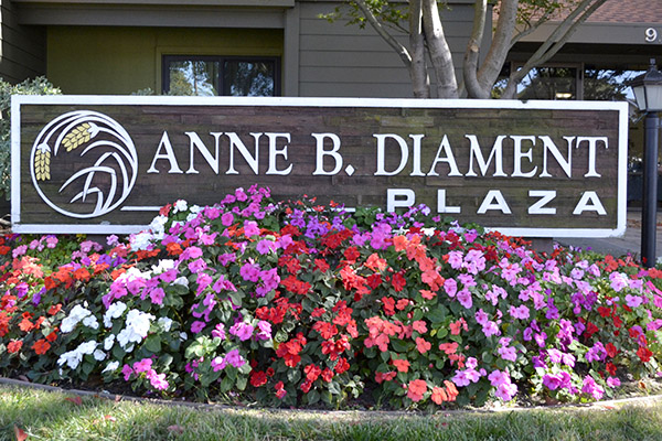 Anne B. Diament Plaza