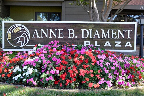 Anne B. Diament Plaza